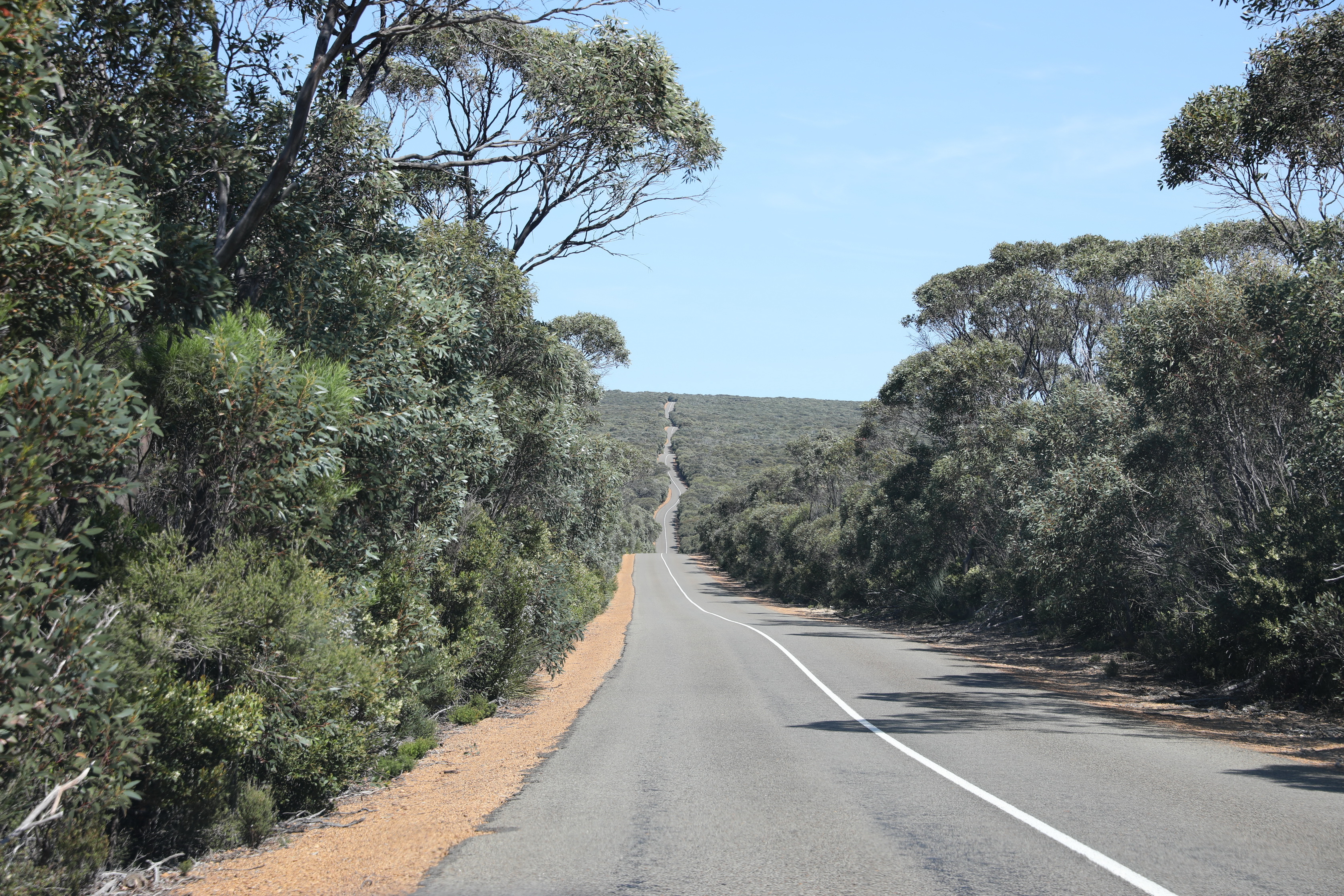 2019 10 01 12 29 21 Canon EOS 5D Mark IV 0017